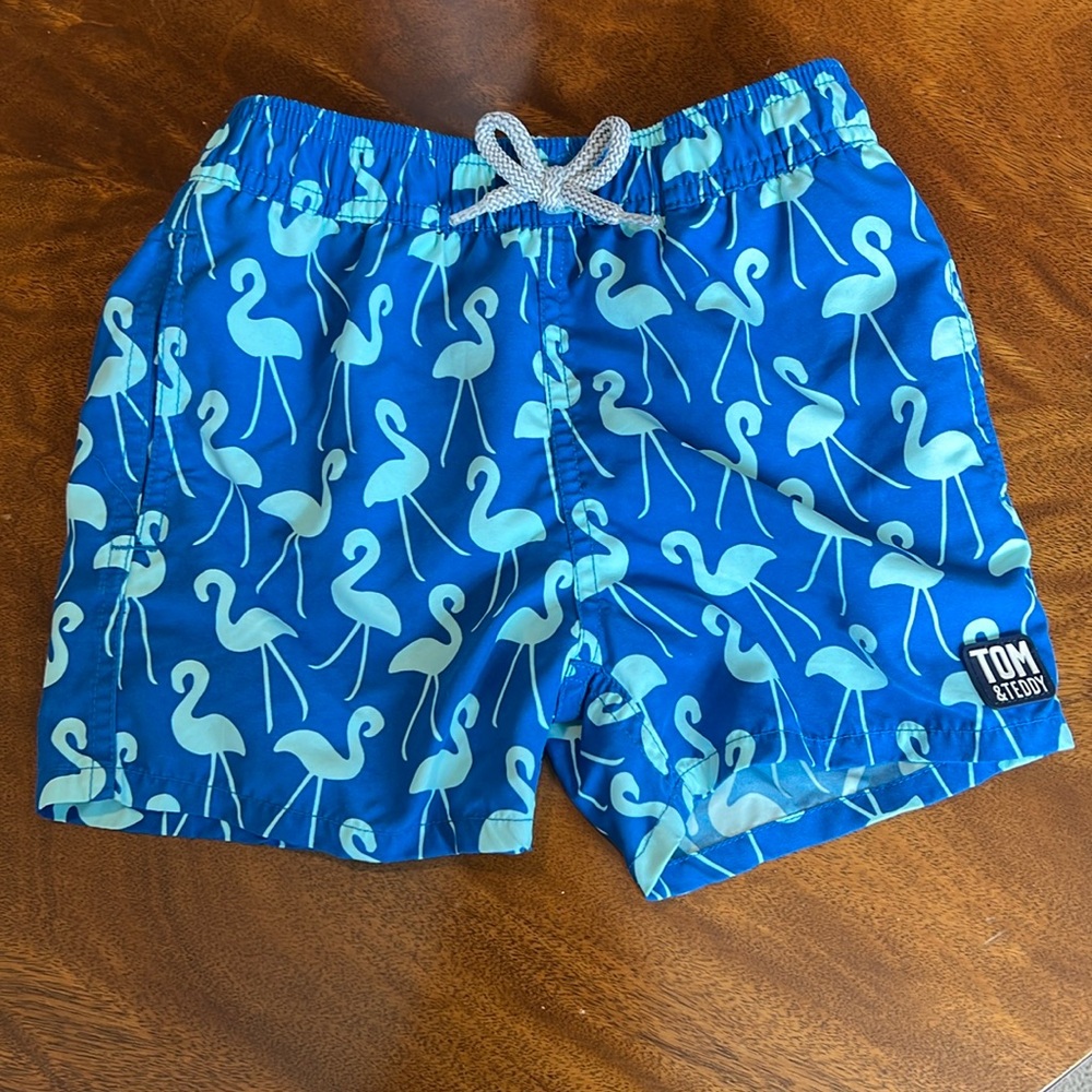 Tom and Teddy blue flamingo print swim trunks bathing suit size 3 / 4
